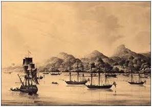 The Krios of Sierra Leone Image